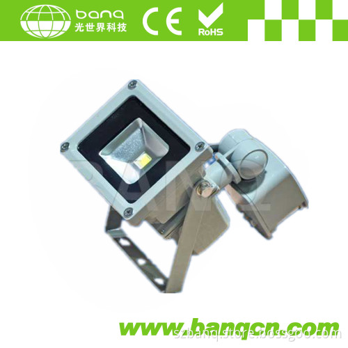 Bridgelux Epistar 100 W 50W 10W LED Flood Light with Sensor